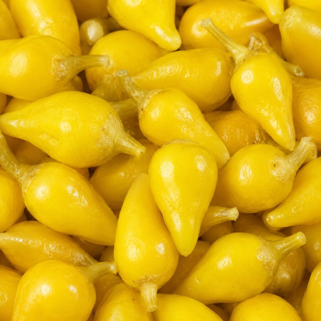 Mexican Pepper